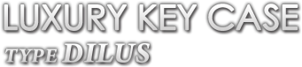 LUXURY KEY CASE type DILUS